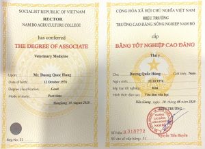 Hướng Dẫn Làm Hồ Sơ Xét Tuyển Đại Học Mới Nhất 2021