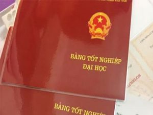 Làm Bằng Đại Học Liên Thông Hay Chính Quy ? Nên Chọn Loại Nào ?