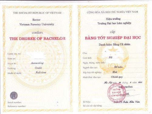 Làm Bằng Giỏi Đại Học Nhanh Chóng, Giá Trị Như Thật