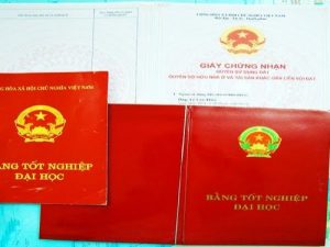 Lừa Đảo Làm Bằng Đại Học - Hãy Hiểu Để Phòng Tránh