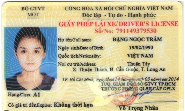 Bằng lái xe giả là gì ?