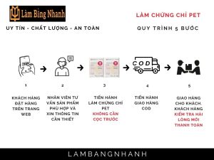 Làm Chứng Chỉ PET Chất Lượng Cao Tại Làm Bằng Nhanh