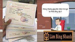 Không Có Bằng Cấp 3 Thì Làm Gì Để Ổn Định Và Thăng Tiến ?