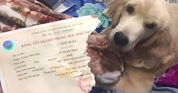 BẢO HÀNH TRỌN ĐỜI