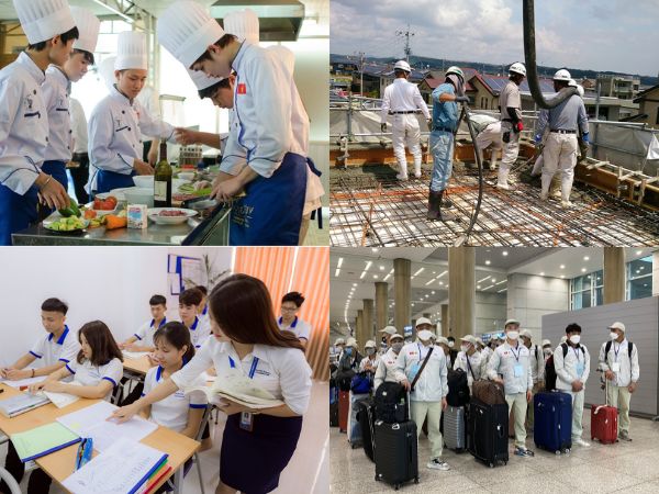 Làm Chứng Chỉ Tiếng Hàn Phôi Chuẩn Quốc Tế 2024