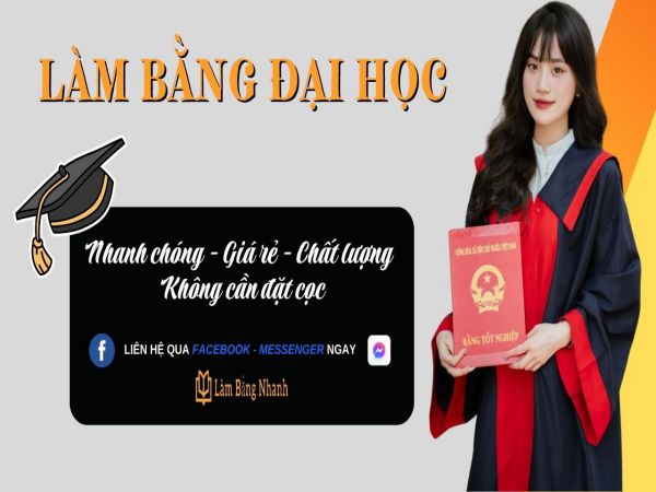 Mất Bằng Đại Học Có Làm Lại Được Không? Làm Bằng Nhanh
