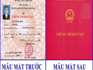 Chứng Chỉ Lái Xe Nâng Hải Phòng – Học Lái Xe Nâng Hải Phòng Nhanh