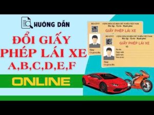 Hướng Dẫn Cách Đổi Bằng Lái Xe Ô Tô Đúng Quy Định Năm 2025