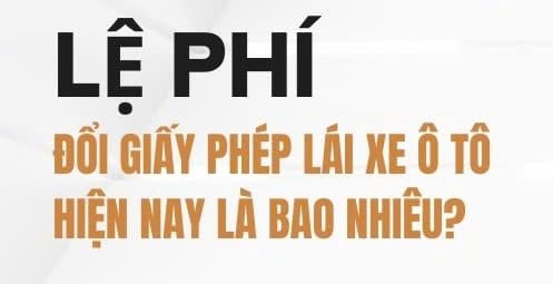 Chi phí đổi bằng lái xe ô tô