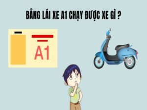 Bằng Lái Xe Các Hạng Chạy Được Xe Gì? - Bao Xin Việc