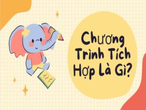 Chương Trình Tích Hợp Là Gì? Mô Hình Giáo Dục Kết Hợp Hiện Đại