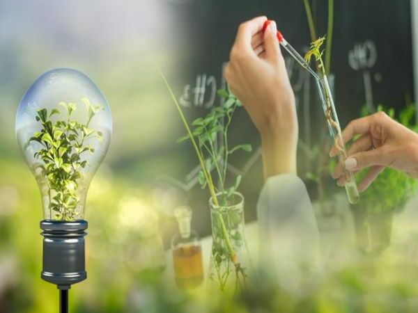 Học Kỹ thuật Môi trường ra làm gì?