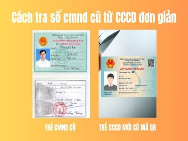 Các trường hợp cần lưu ý khi tra cứu